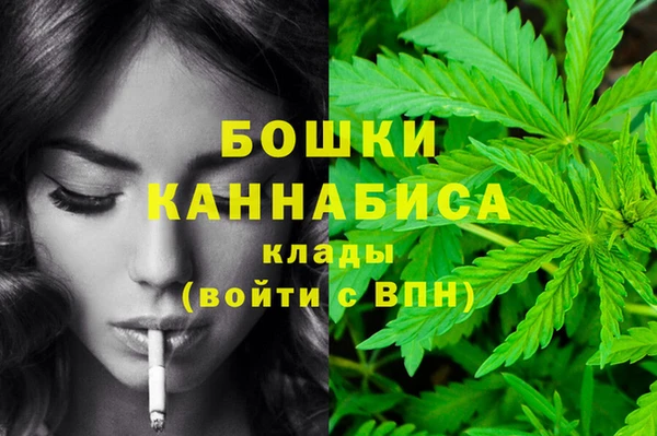 PSILOCYBIN Липки