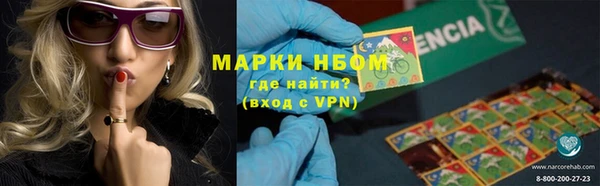 PSILOCYBIN Липки