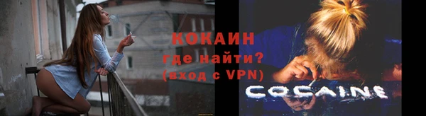 PSILOCYBIN Липки