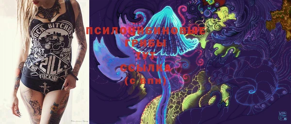 PSILOCYBIN Липки