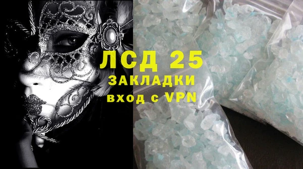 PSILOCYBIN Липки