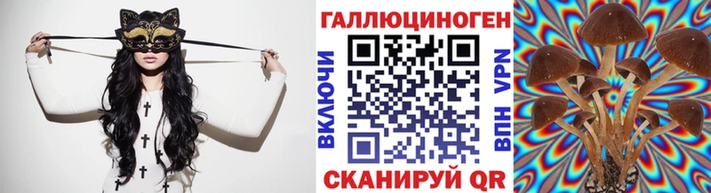 ссылка на мегу сайт  Североморск  Псилоцибиновые грибы Psilocybe 