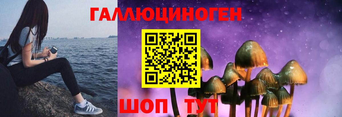 Галлюциногенные грибы MAGIC MUSHROOMS Североморск