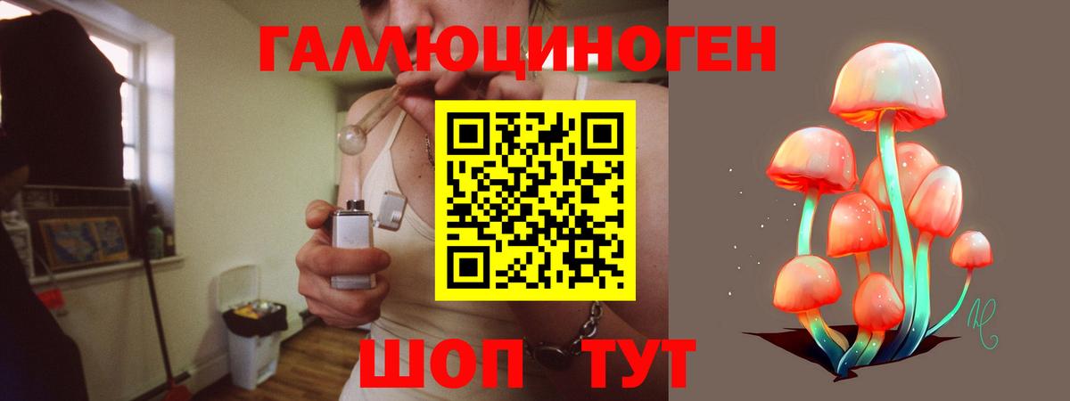 Галлюциногенные грибы Cubensis  Вход с VPN  Североморск 